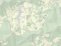 Dražba lesa, Zděchov, 1617 m2