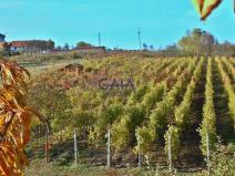 Prodej pozemku, Bukovany, 957 m2