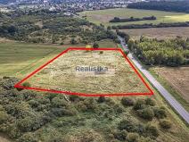 Prodej louky, Starý Plzenec, Bezručova, 18000 m2