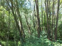 Prodej pozemku, Přídolí - Všeměry, 3581 m2