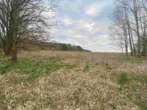 Prodej pole, Žinkovy, 15275 m2