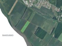 Prodej pole, Březí, 39248 m2