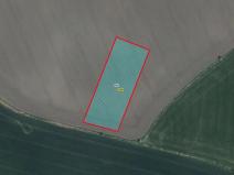 Prodej pole, Kněžice, 5667 m2