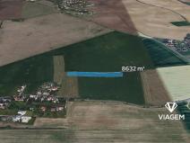 Prodej podílu pole, Březí, 4316 m2