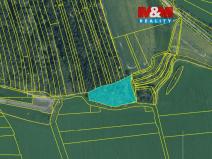 Prodej lesa, Koloveč, 13001 m2