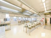 Pronájem výrobních prostor, Neratovice, Na Výsluní, 140 m2