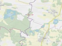 Dražba lesa, Hradiště, 1083 m2