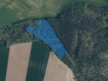 Prodej lesa, Bechlín, 31569 m2