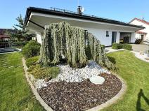 Pronájem rodinného domu, Sulice, Osiková, 260 m2