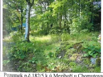 Prodej lesa, Blatno, 1106 m2