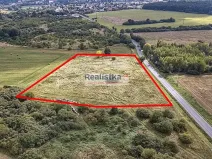 Prodej louky, Starý Plzenec, Bezručova, 18000 m2