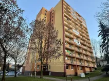 Prodej bytu 2+1, Bílina, Aléská, 48 m2