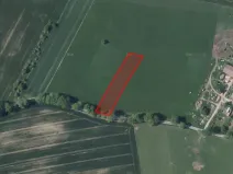 Prodej pole, Nová Cerekev, 2914 m2