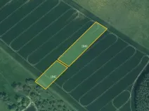 Prodej pole, Soběkury, 8248 m2