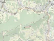 Dražba lesa, Velké Hamry, 6125 m2