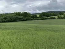 Dražba pole, Bojanovice, 22823 m2