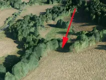 Prodej louky, Bernartice, 2455 m2