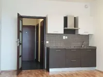 Pronájem bytu 1+kk, Praha - Vysočany, Freyova, 33 m2