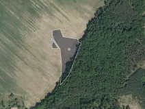 Prodej pole, Morašice, 8621 m2