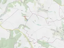 Dražba lesa, Přemyslovice, 7049 m2