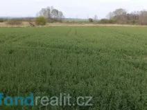 Prodej pole, Žíšov, 3467 m2