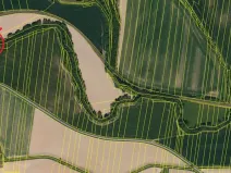 Prodej lesa, Dolní Životice, 2675 m2