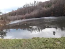 Pronájem rybníku, Zlín, 6507 m2