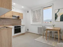 Pronájem bytu 1+1, Brno, Vavřinecká, 35 m2