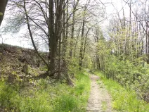 Dražba pozemku, Vítkov, 5357 m2