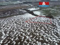 Prodej pole, Přišimasy, 7366 m2