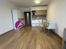Pronájem bytu 1+kk, Olomouc, Edmunda Husserla, 30 m2
