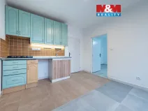 Prodej bytu 1+1, Strakonice - Strakonice I, Mlýnská, 39 m2