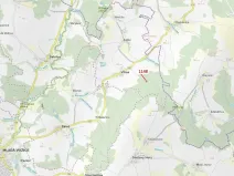 Dražba lesa, Vilice, 1105 m2