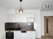 Pronájem bytu 1+kk, České Budějovice, Dobrovodská, 41 m2