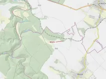 Dražba lesa, Březník, 234 m2