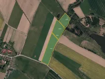 Prodej pole, Olšany, 53562 m2