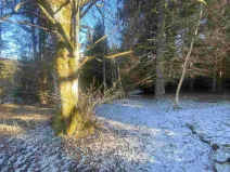 Prodej pozemku, Čachrov - Javorná, 2391 m2