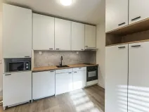 Pronájem bytu 1+kk, Praha - Nusle, Na bitevní pláni, 30 m2