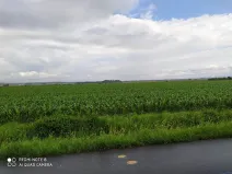 Prodej komerčního pozemku, Dolní Roveň, 13103 m2