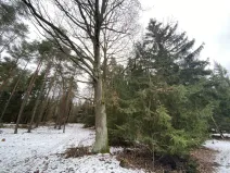 Prodej pozemku, Veliny, 180 m2