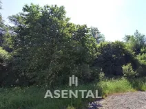 Prodej komerčního pozemku, Karviná - Lázně Darkov, Svornosti, 19552 m2