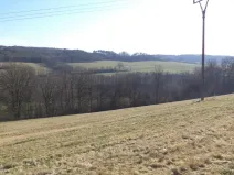 Dražba louky, Úštěk, 21164 m2