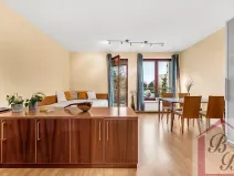 Pronájem bytu 1+kk, Praha - Podolí, Jeremenkova, 44 m2