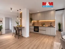 Prodej bytu 3+kk, Abertamy, ČSA, 54 m2