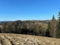 Prodej louky, Bozkov, 14441 m2