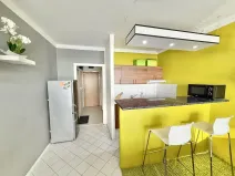Pronájem bytu 1+kk, Český Těšín, Slezská, 29 m2