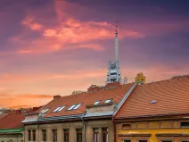 Prodej bytu 2+1, Praha - Žižkov, Bořivojova, 77 m2