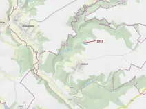 Dražba lesa, Náměšť nad Oslavou, 3646 m2