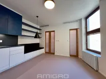 Pronájem bytu 1+kk, Brno, Peroutková, 25 m2