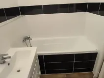 Pronájem bytu 1+1, Ostrava, Srbská, 40 m2